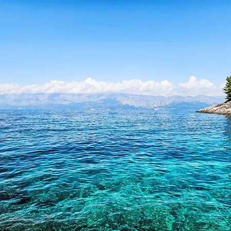 Octopus-3 By Interhome