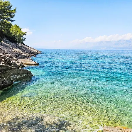 Apartman Octopus-3 By Interhome Bogomolje