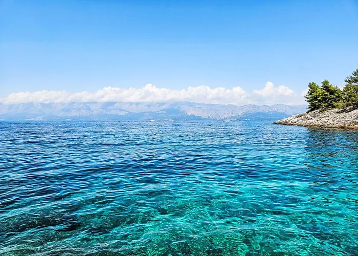 Octopus-3 By Interhome