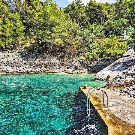 Apartamento Octopus-3 By Interhome Bogomolje